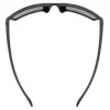 Schutzbrille UVEX LGL 29 – Modell 53/0/947/2216/UNI, schwarzer Rahmen