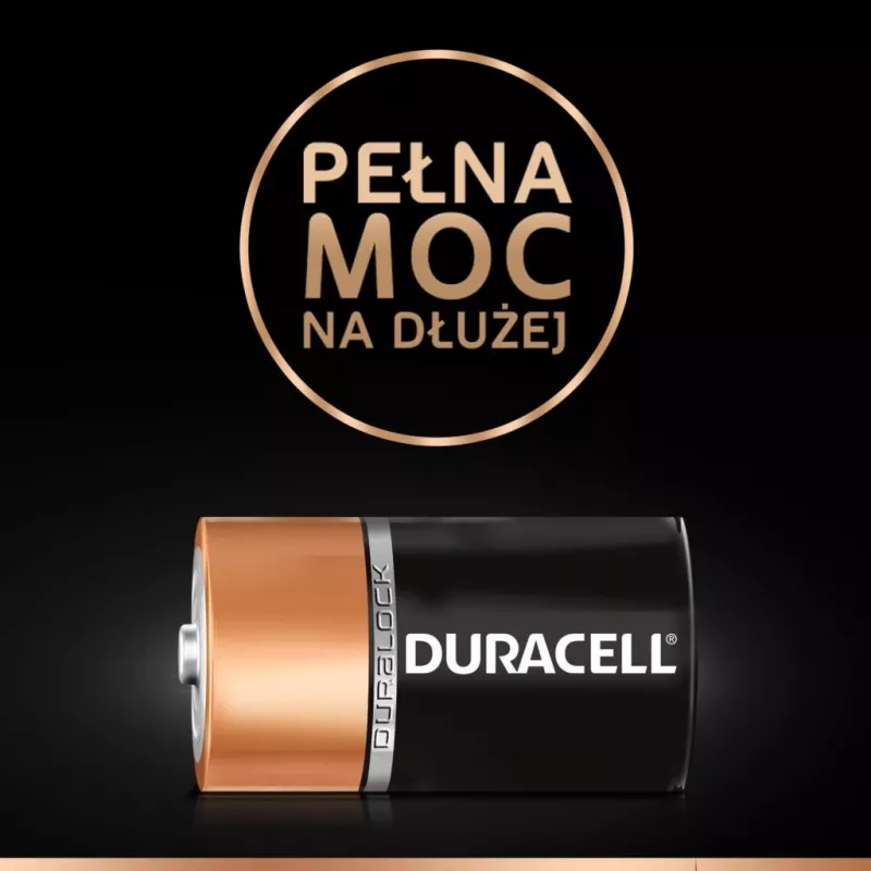 Duracell Basic D (R20) Batterie — 2er-Pack, Primär-Zink-Kohle-Zellen