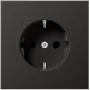 SCHUKO-Steckdose AL1520NAN (AL1520NAN)