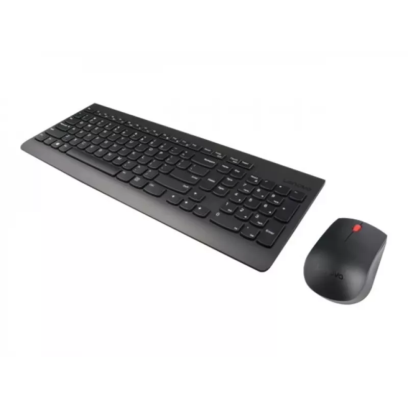 Lenovo GX30N81776 Tastatur Maus enthalten Universal Schwarz