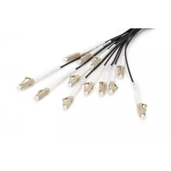 Breakout-Kabel Digitus DK-2433CU030BK-BBB 30m OM4 12 Fasern LC/UPC