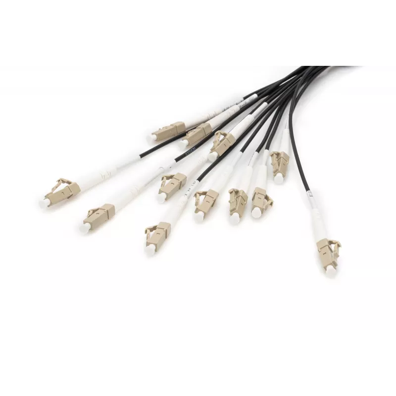 Breakout-Kabel Digitus DK-2433CU030BK-BBB 30m OM4 12 Fasern LC/UPC