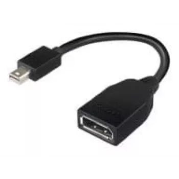 Lenovo 4X90L13971 DisplayPort-Kabel Mini DisplayPort Schwarz