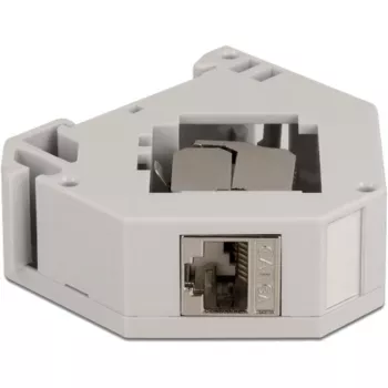 Delock - Modularadapter - DIN-Schienen-montierbar - CAT 6a - STP - Grau - 1 Anschluss (86014)