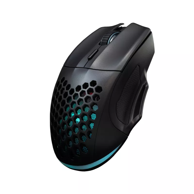 Maus Baracuda BGM-101 Penguin Schwarz USB