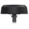 Antenne TELTONIKA PR1KC647 5G Combo MIMO — externe 5G/LTE/2,4–6 GHz Multiband-MIMO-Antenne