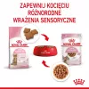 Nassfutter für Katzen Royal Canin Sterilised Gravy, 12 x 85 g Beutel — Huhn, für kastrierte Kätzchen, 11 % Protein, 80,5 % Feuchtigkeit
