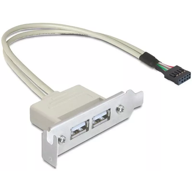 Slotblech USB 2.0 DeLOCK 0,5 m