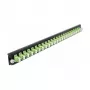 DeLOCK 19 Zoll Spleißbox-Frontplatte 43362 24 Port LC Duplex limegreen