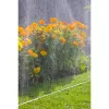 GARDENA Sprühschlauch 7,5 m (1995-20)
