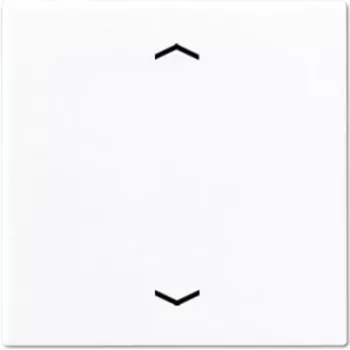 Jung A 590 P WW Elektroschalter (A590PWW)