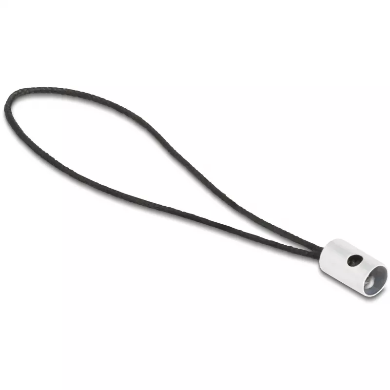 Kabeladapter DeLOCK 60688 USB 2.0 Type-C auf 8-Pin Lightning Anthrazit