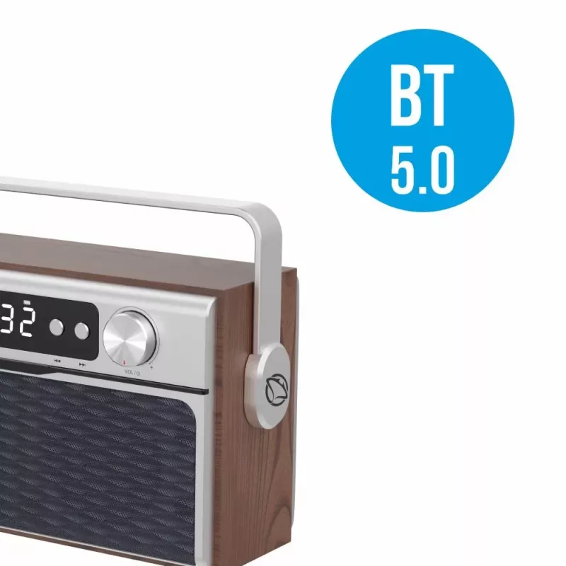 Tragbares Radio MANTA RDI917PRO mit Bluetooth und USB-Wiedergabe