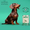 OLLO Umami Gans und Pute - Nassfutter für Hunde - 850 g