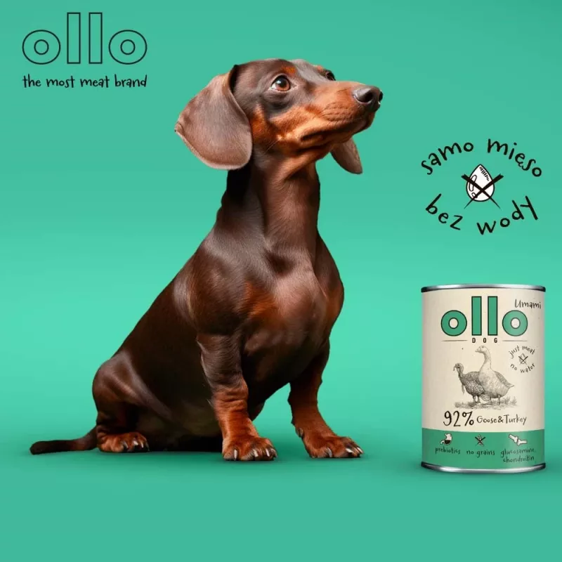 OLLO Umami Gans und Pute - Nassfutter für Hunde - 850 g