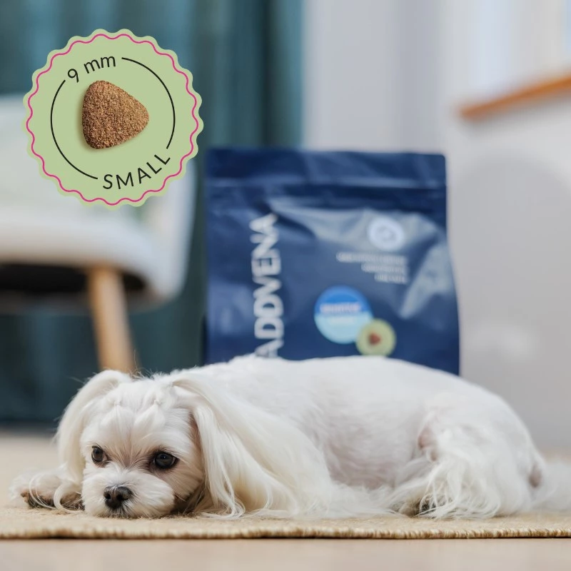 ADDVENA Power of Nature Adult Sensitive Small Lamb - Trockenfutter für Hunde - 10 kg