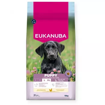 Trockenfutter für Hunde EUKANUBA Puppy Large Chicken 15 kg — Welpenfutter für große und riesige Rassen, 26,5 % Protein