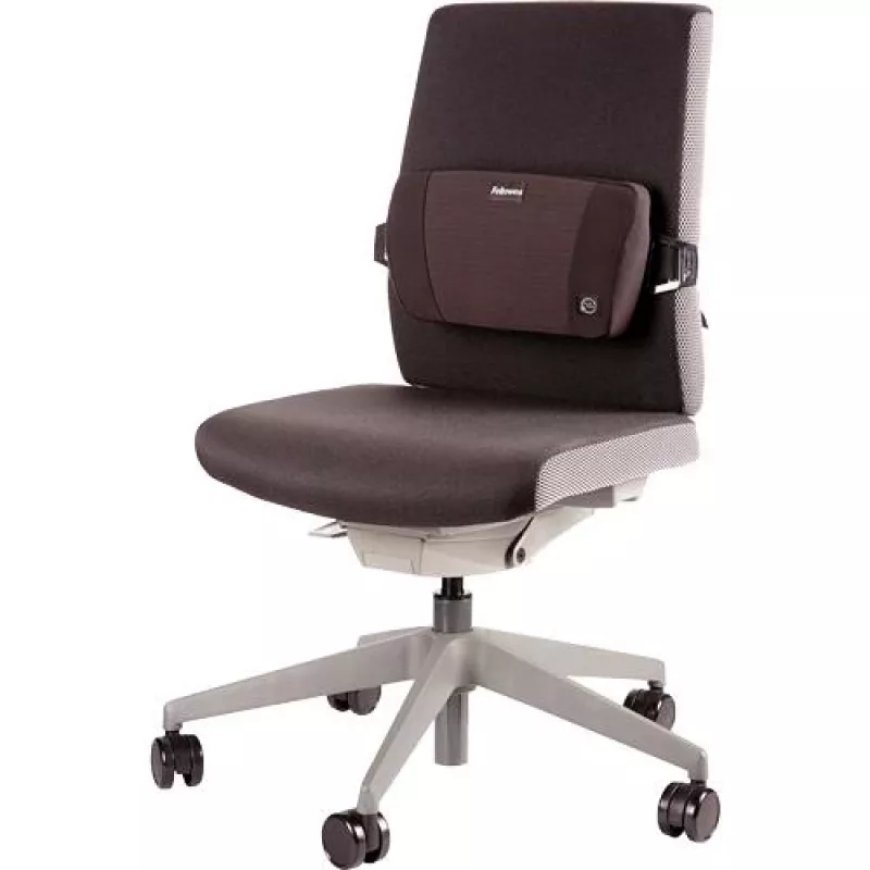 Stuhlrückenstütze PlushTouch/Lumbar 8026501 FELLOWES