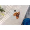 Waage Zelmer ZBS1010 Weiß ZBS1010 Hund ZELMER