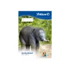 Kunstpapierblock Pelikan 224840