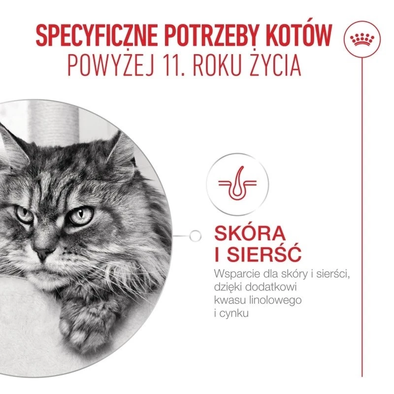 Trockenfutter für Katzen Royal Canin FHN Ageing 11+ 4 kg — Alleinfuttermittel für ältere Katzen, Geflügel, 30% Protein