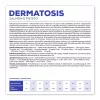 VET EXPERT Veterinary Diet Dermatosis Hund Lachs & Kartoffel - Trockenfutter für Hunde - 2 kg