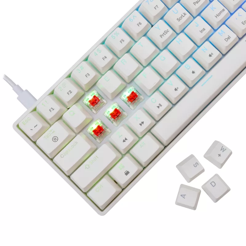 Kabelgebundene mechanische Tastatur White Shark Shinobi-2 (GK-004211) — US-Layout, Red-Schalter, weiß