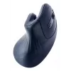 Gembird MUSW-ERGO-03 Maus Home Rechtshänder RF Kabellos Optisch 1600 DPI