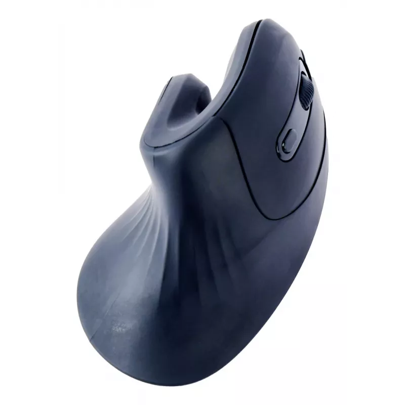 Gembird MUSW-ERGO-03 Maus Home Rechtshänder RF Kabellos Optisch 1600 DPI