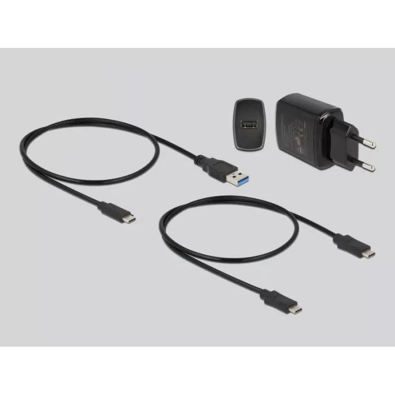 DeLOCK M.2 Dockingstation für 2 x M.2 NVMe PCIe SSD mit Klonfunktion