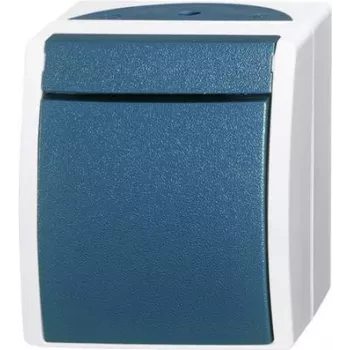 BUSCH JAEGER 2601/2 W-53 - 1P - Grün - Grau - 250 V - 74 mm - 55 mm - 83 mm