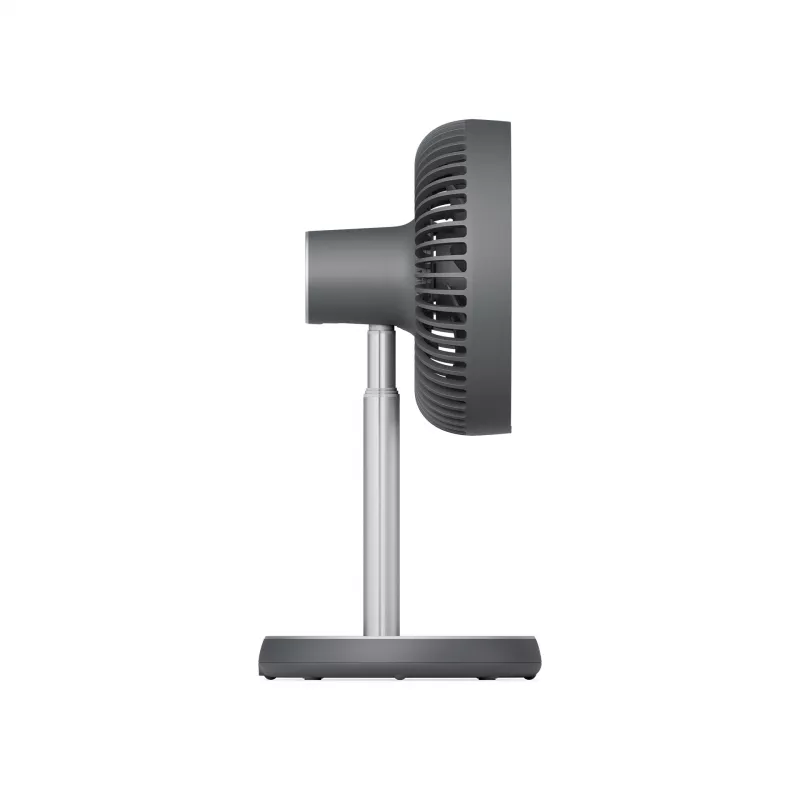 Duux Rize Flex Standventilator Grau Durchmesser 21 cm