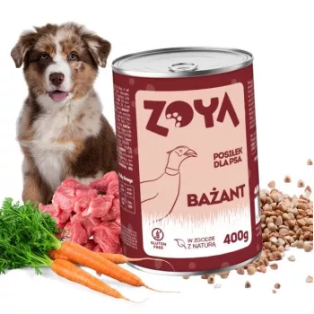 ZOYA Fasan – Nassfutter für Hunde Dose 400g