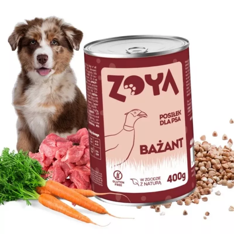 ZOYA Fasan – Nassfutter für Hunde Dose 400g