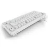 Sharkoon SGK25 75% QWERTZ USB kabelgebundene RGB LED Tastatur weiß