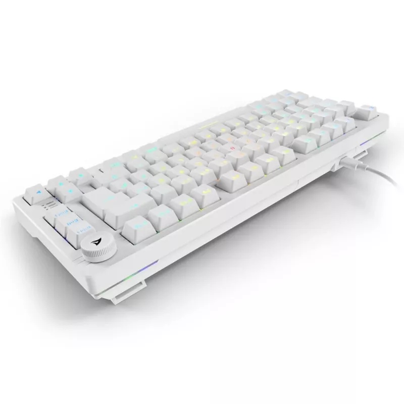 Sharkoon SGK25 75% QWERTZ USB kabelgebundene RGB LED Tastatur weiß