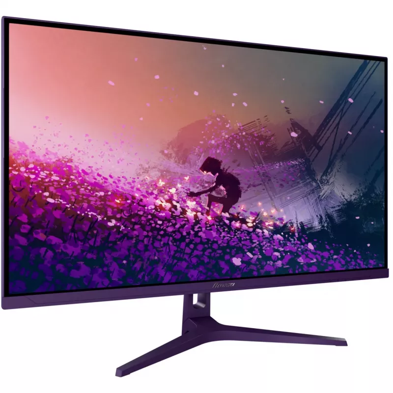 Monitor Arozzi Nova 32 Zoll (80 cm) Quad HD 2560x1440 LED 1 ms 16:9 VESA Lila