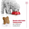 ROYAL CANIN Adult Mini S - Trockenfutter für Hunde - 4 kg