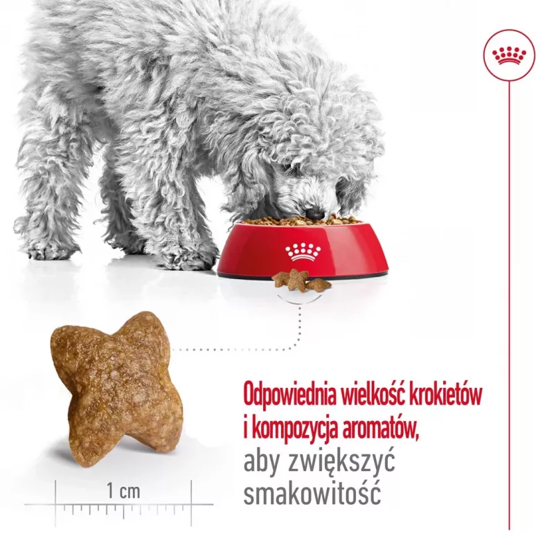 ROYAL CANIN Adult Mini S - Trockenfutter für Hunde - 4 kg