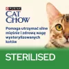 PURINA Cat Chow Sterilised Gig Huhn mit Aubergine - Feuchtnahrung für Katzen 85 g