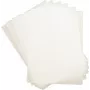 Laminierfolien DAHLE A3 303×426 mm 2×125 μm (250 mi) – 100er-Pack