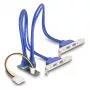 DeLOCK 61066 Interner USB 3.2 Gen 1 Adapter M.2 Stecker Schwarz