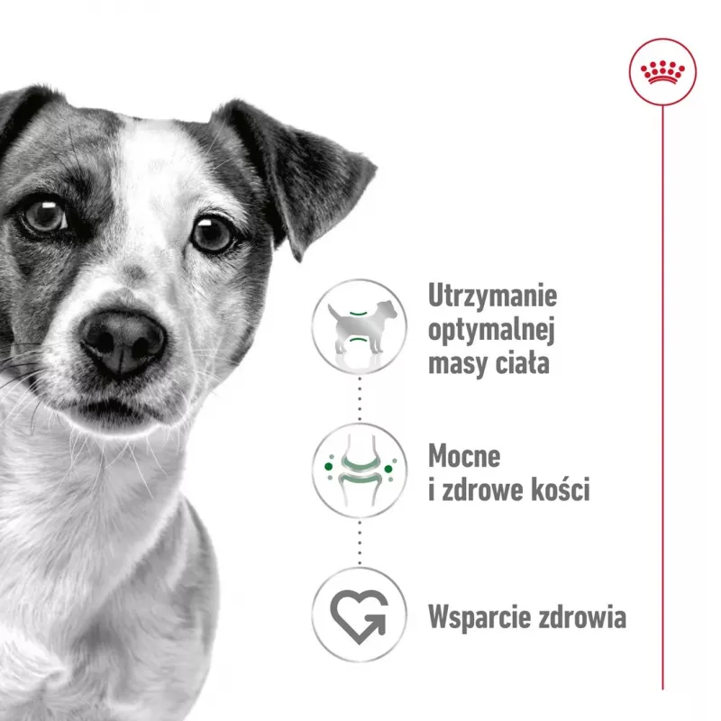 Nassfutter für Hunde Royal Canin Mini Adult Beutel 85 g, Geflügel, für kleine Rassen 5–10 kg, 12 × 85 g Packung