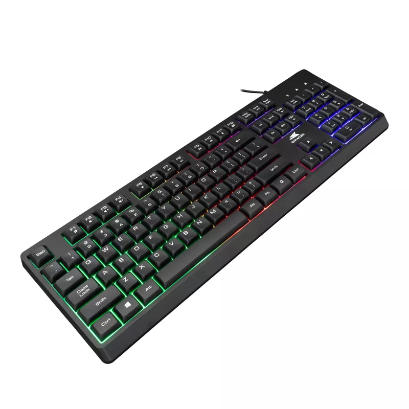 Baracuda Starfish Schwarz US-Tastatur Modell STARFISH — kompaktes Format, US-Layout
