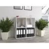 Topeshop MALAX 2X2 BIEL Wohnzimmer-Bücherregal