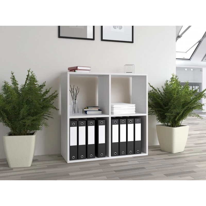 Topeshop MALAX 2X2 BIEL Wohnzimmer-Bücherregal