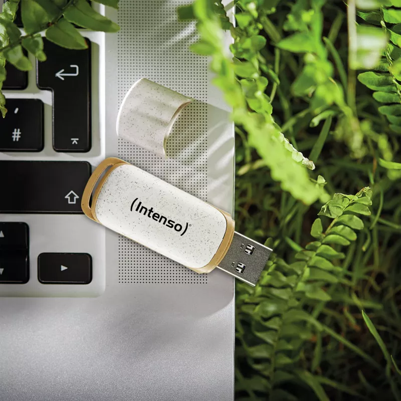USB-Stick Intenso 32 GB USB Typ-A 3.2 Gen 1