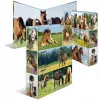 Ringbuch HERMA 19251 A4 Mehrfarbig D-Ring-Aufbewahrung 285x315mm