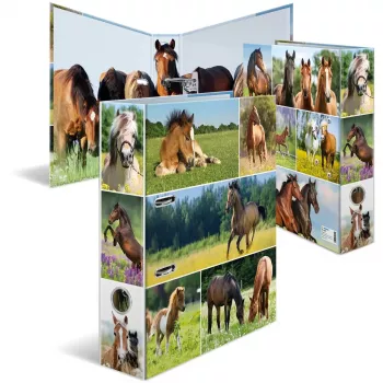 Ringbuch HERMA 19251 A4 Mehrfarbig D-Ring-Aufbewahrung 285x315mm