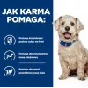 HILL'S Prescription Diet Diabetes Care Huhn - Nassfutter für Hunde - 370 g